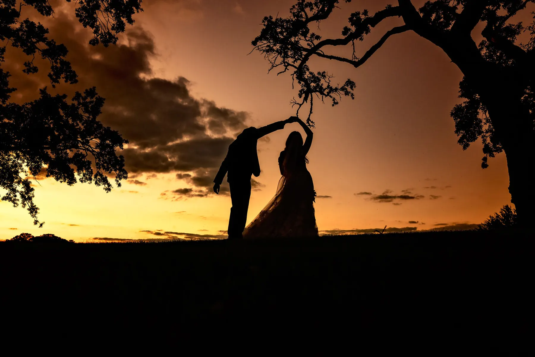 Bride and groom silhouetted under oak trees at sunset